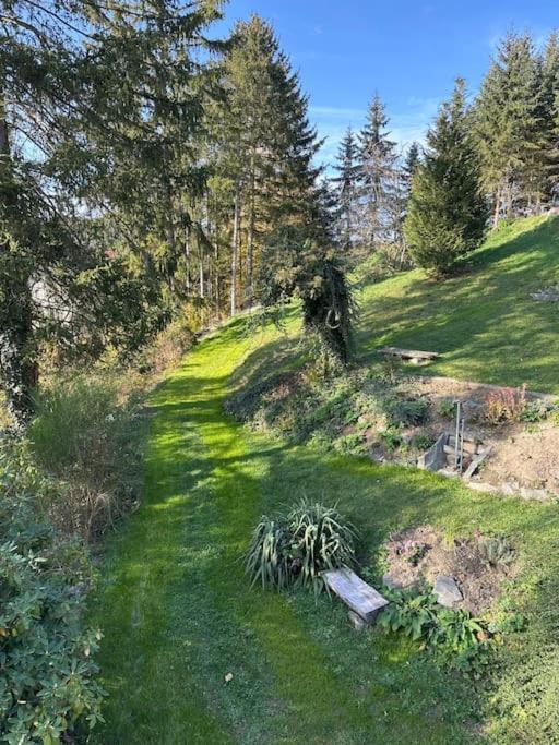 Exclusiv Im Erzgebirge Διαμέρισμα Amtsberg Εξωτερικό φωτογραφία